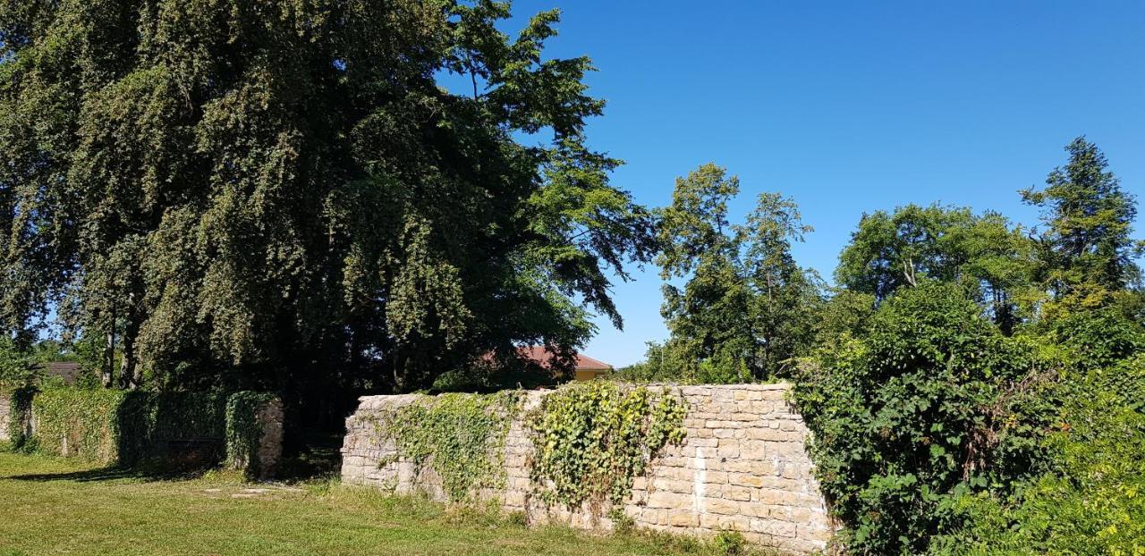 Le 49 Côté Parc&SPA Domblans Exterior foto